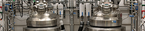 compliance, support for inspections, suppliers quality audits, support for regulatory inspections